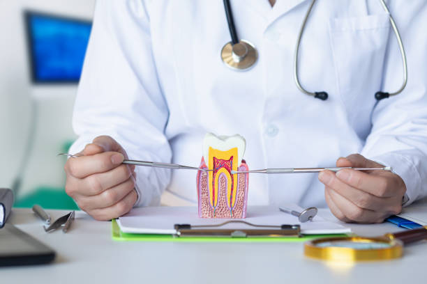 Best Broken or Cracked Tooth Emergency Dentist in Omro, WI